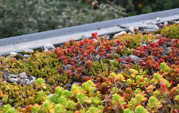 the cost of Drax green roof installation