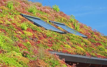 Drax living roof systems