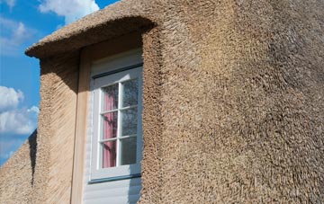 Drax thatch roof disadvantages